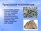 Natural Fossil